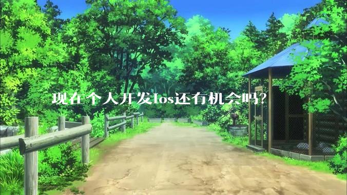 现在个人开发ios还有机会吗？