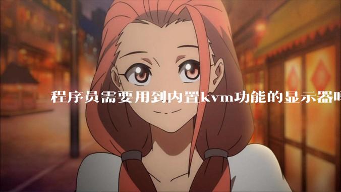 程序员需要用到内置kvm功能的显示器吗？或者是外置的kvm切换器吗？