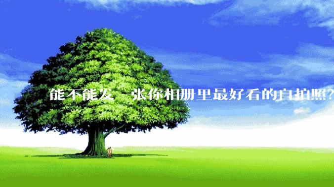 能不能发一张你相册里最好看的自拍照？